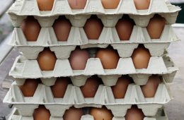 eggs-2660420_1920.jpg
